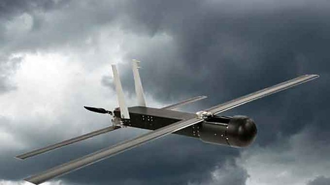 Máy bay không người lái (UAV) Raytheon Coyote. Ảnh minh họa của Raytheon