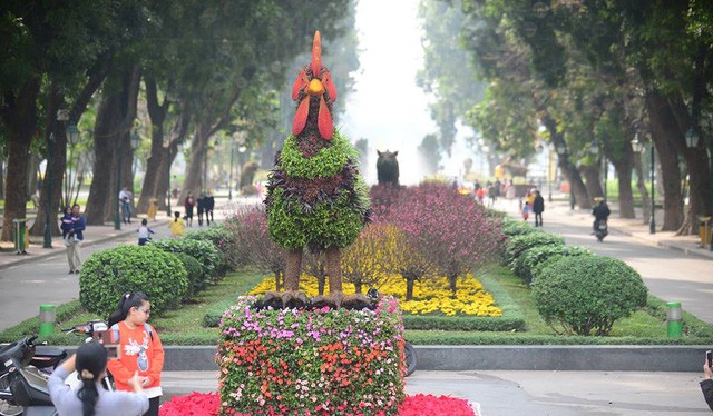 Ngắm 12 con giáp khủng bằng hoa lập thể ở Hà Nội
