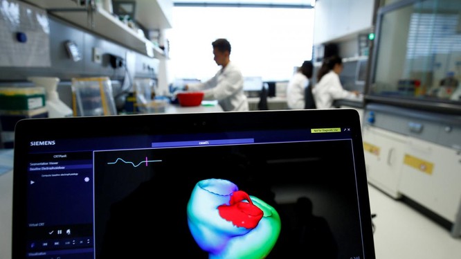 Một màn hình hiển thị hình ảnh ba chiều về trái tim con người tại Viện Tim mạch tính toán tích hợp Klaus-Tschira, khoa Bệnh viện Đại học Heidelberg (Universitaetsklinikum Heidelberg), tại Heidelberg, Đức, ngày 14/8/2018. Ảnh: REUTERS