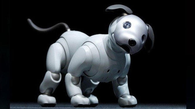 Chó Aibo, sản phẩm sáng tạo độc đáo của Sony. Ảnh: Sony. 
