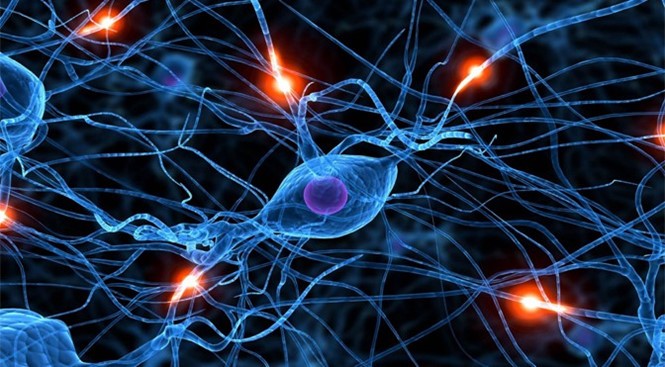 Mạng lưới nơron nhân tạo giúp máy móc hoạt động giống não người hơn. ẢNH: TOWARDS DATA SCIENCE