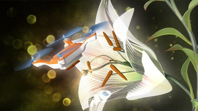 Dùng máy bay siêu nhỏ thụ phấn cho hoa