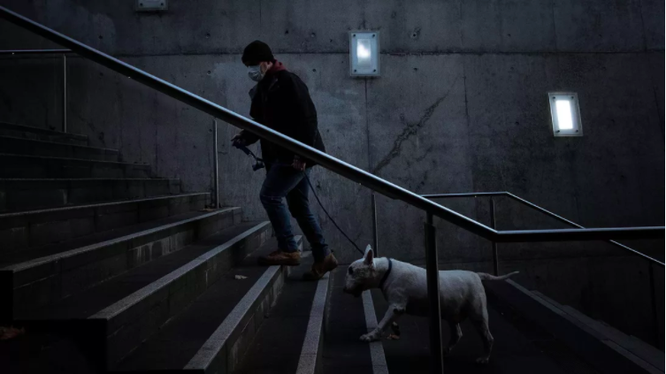 Chó có thể nhiễm Covid-19 nhưng chỉ là số lượng rất nhỏ (ảnh: Getty Images)