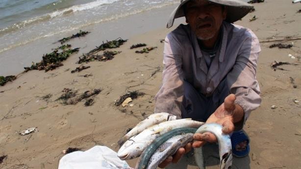 Gần 4.000 tấn hải sản tồn kho có thể bị tiêu hủy.