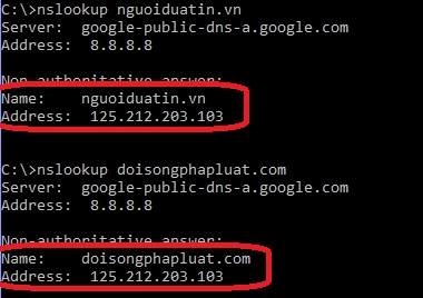 Máy chủ của Nguoiduatin.vn và Doisongphapluat.com được đặt trên cùng một server- (Ảnh: BKAV).