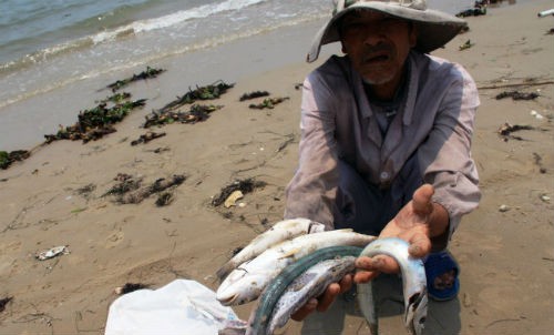 Ngư dân tại 4 tỉnh miền Trung đang chờ tiền đền bù thiệt hại từ sự cố môi trường Formosa.