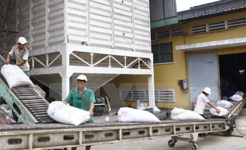 Dừng xuất khẩu gạo sang thị trường Mỹ vì có dư lương thuốc bảo vệ thực vật vượt mức.