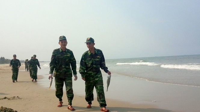 Chiều 25-4, đơn vị bộ đội địa phương được huy động đi thu gom cá mới chết dạt vào bãi biển thôn Đá Nhảy, xã Thanh Trạch - Ảnh: Quốc Nam