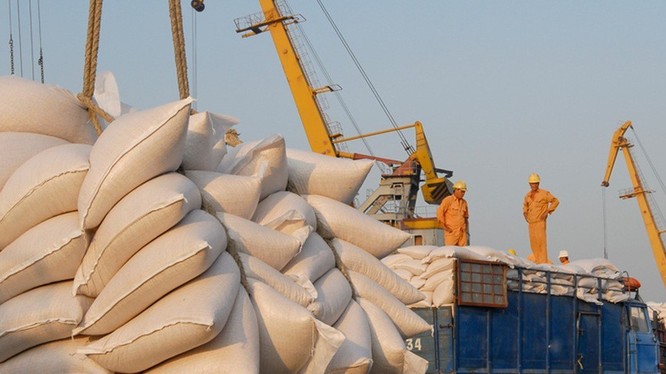 Ngành gạo sẽ hưởng lợi tích cực từ EVFTA