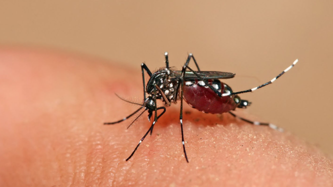 Thời tiết Hà Nội nóng ẩm, có mưa rải rác là điều kiện thuận lợi cho muỗi truyền bệnh sốt xuất huyết phát triển