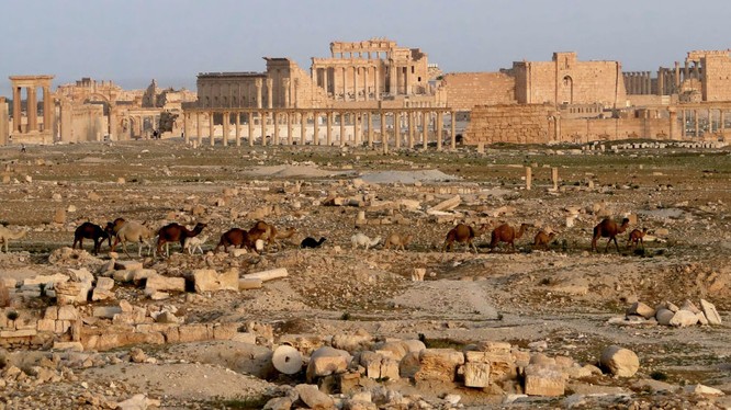 Lính cảm tử Nga vô hiệu hóa 12.000 quả bom ở Palmyra