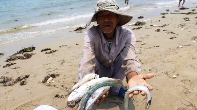 Báo Nga: Việt Nam chọn cá tôm hay là thép?