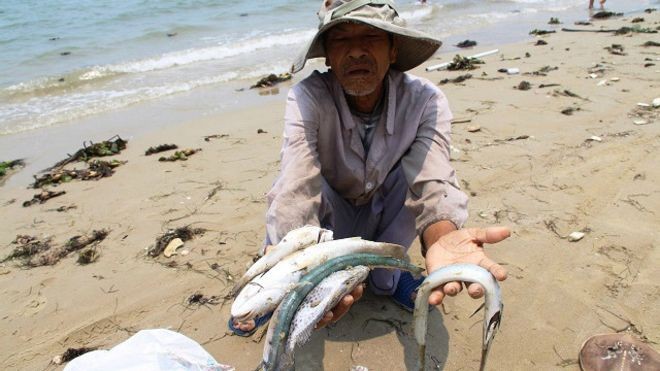Việc tôm cá chết tại các tỉnh miền Trung trong những ngày vừa qua đã ảnh hưởng nghiêm trọng đến đời sống người dân.