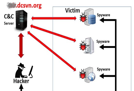 Sơ đồ tấn công của mã độc đã được cài vào hệ thống của Vietnam Airlines (Ảnh Bkav cung cấp)