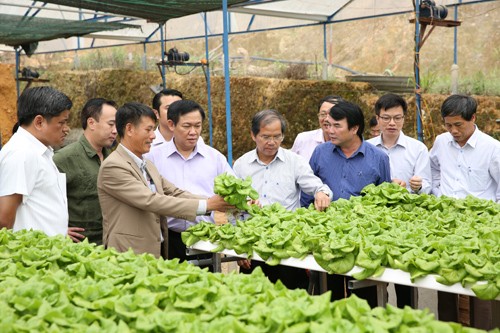 Phó Thủ tướng Vương Đình Huệ thăm khu nhà sản xuất rau bó xôi công nghệ cao có thời gian từ ươm giống tới thu hoạch chỉ trong 15 ngày của HTX Tân Tiến, Lâm Đồng. Ảnh: VGP/Thành Chung