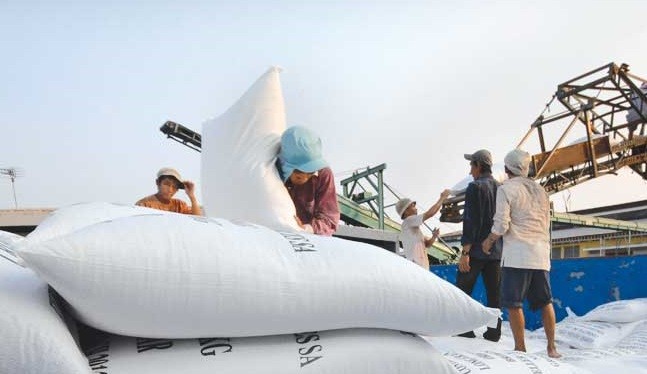 Thủ tướng "chốt" tạm dừng ký hợp đồng xuất khẩu gạo mới. Ảnh: VPCP.