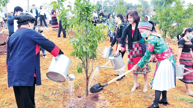 Đồng bào các dân tộc tham gia Tết trồng cây