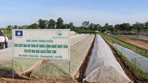 Hợp tác xã Rau quả sạch Chúc Sơn (huyện Chương Mỹ) gặt hái nhiều thành công nhờ chuyển đổi số - Ảnh: VGP/TN