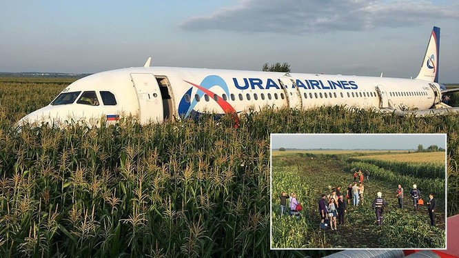 Chiếc máy bay hạ cánh trên đồng cỏ ở vùng nông thôn thuộc Moscow, Nga (Ảnh: RT)