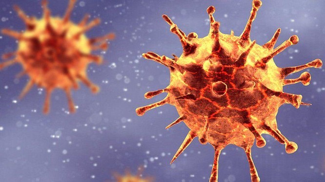 Giới khoa học tranh cãi về nghiên cứu cho rằng virus corona ảnh hưởng xấu tới khả năng sinh sản của đàn ông (Ảnh: BBC)