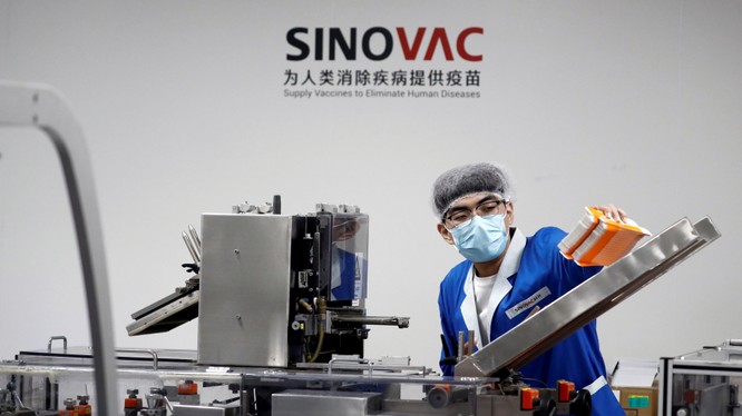 Một nhân viên làm việc trên dây chuyền sản xuất của Sinovac (Ảnh: Nikkei)