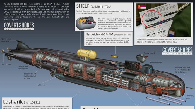 Tàu ngầm AS-31 Losharik của Nga (Ảnh: Covert Shores)