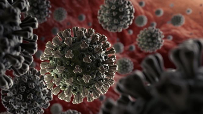 Virus SARS-CoV-2. Ảnh: Getty Images