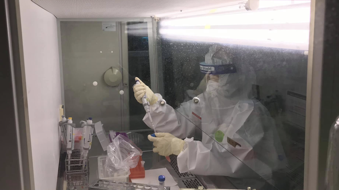Nhân viên y tế lấy mẫu xét nghiệm COVID-19 trong phòng thí nghiệm (Ảnh - BYT) 