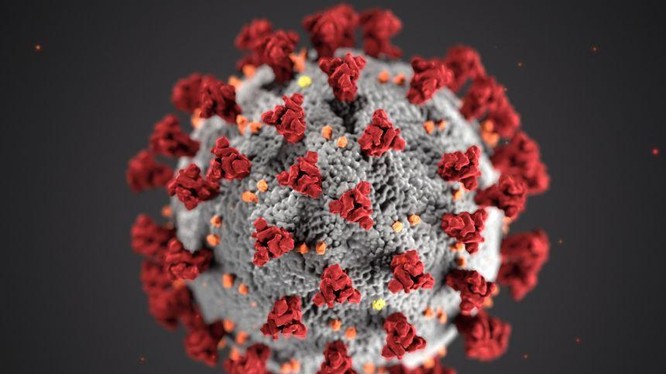 Mô hình virus SARS-CoV-2 (Ảnh - AFP)