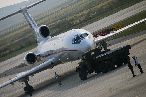 Máy bay Tu-154 của Nga gặp nạn có thể do chim? (ảnh minh họa)