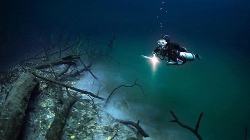 Con sông ngầm Cenote Angelita nằm dưới lòng đại dương thuộc bán đảo Yucatan (Mexico). Ảnh: Boredpanda