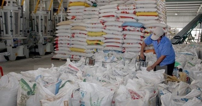 Chế biến gạo xuất khẩu tại Xí nghiệp chế biến lương thực cao cấp Tân Túc, Bình Chánh, TP. Hồ Chí Minh