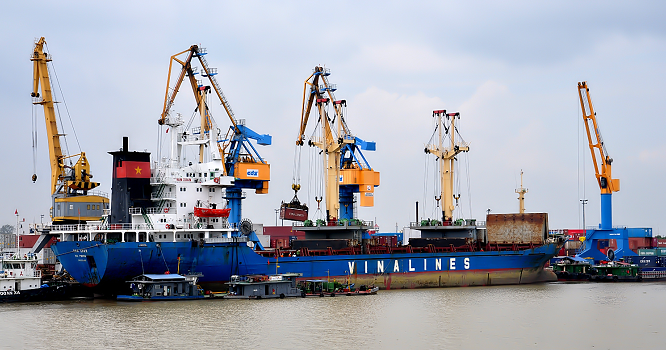 Đội tàu Vinalines đang chủ yếu cho thuê định hạn, thị phần vận chuyển hàng nội địa và hàng xuất nhập khẩu chiếm tỷ lệ rất thấp