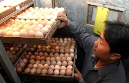 Chủ tịch Quốc hội yêu cầu “dẹp” ngay việc “đếm trứng thu phí”