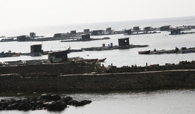 Người dân ở đảo Phú Quý (Bình Thuận) nuôi hải sản trên biển.
