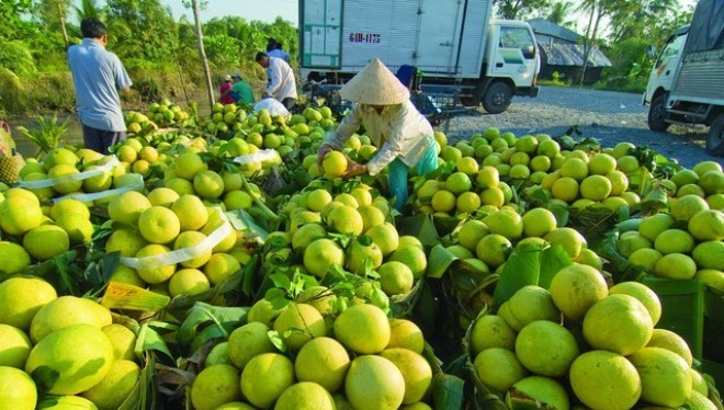 DN Nhật “bắt bệnh” ngành nông nghiệp Việt Nam