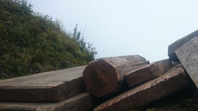 Một điểm tập kết gỗ của lâm tặc tại ngọn núi cách lán trại khoảng 1 km - Ảnh: Nam Anh