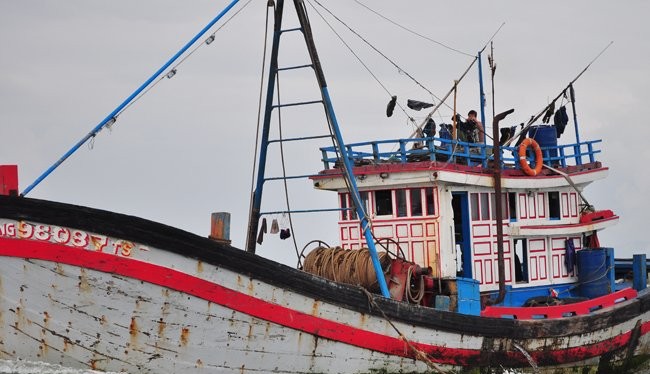 Chủ tàu muốn đầu tư tàu vỏ sắt để đánh bắt thủy sản xa bờ, làm dịch vụ nghề cá sẽ được vay vốn ưu đãi trong 16 năm. Trong ảnh: một tàu vỏ gỗ tại vùng biển Thừa Thiên Huế - Đà Nẵng. Ảnh: Minh Tâm