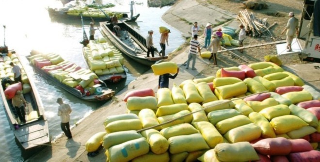 Lợi nhuận lớn đằng sau những kênh xuất khẩu gạo “phi chính thức”