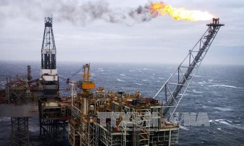 Một giàn khoan dầu tại Biển Bắc. Ảnh: AP/TTXVN