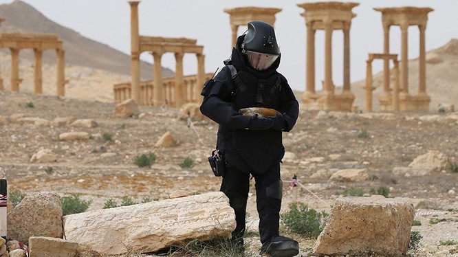 Một chuyên gia rà phá bom mìn của Quân đội Nga làm nhiệm vụ tại thành phố Palmyra, Syria (Ảnh: Bộ Quốc phòng Nga)