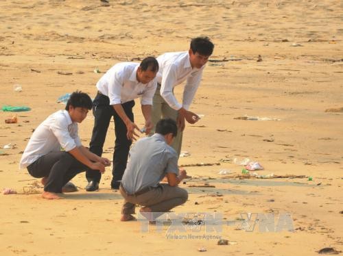 Cán bộ Chi cục khai thác bảo vê nguồn lợi thủy hải sản đang kiểm tra hiện tượng cá chết trên bải biển Quảng Bình. Ảnh: Đức Thọ - TTXVN