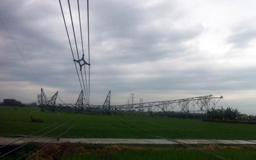 Một cột điện cao thế đổ sập xuống cánh đồng - Ảnh: Facebook