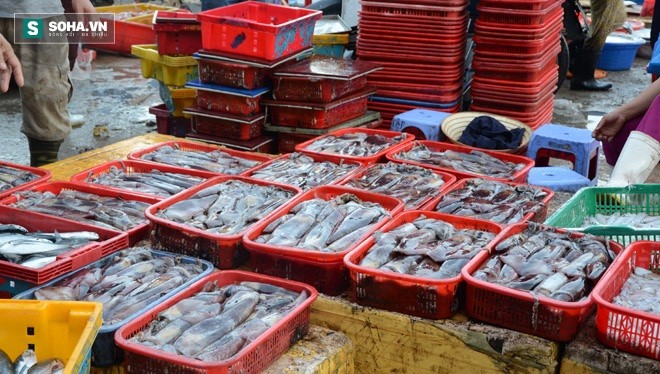 Đà Nẵng “chốt” danh sách chợ bán hải sản sạch trên địa bàn