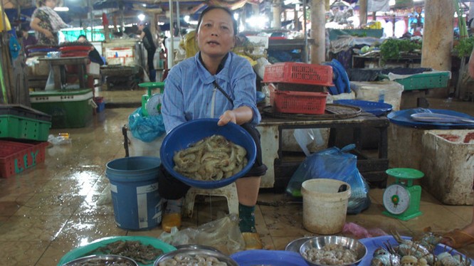 Hà Tĩnh: Hàm lượng kim loại nặng trong hải sản ở ngưỡng cho phép