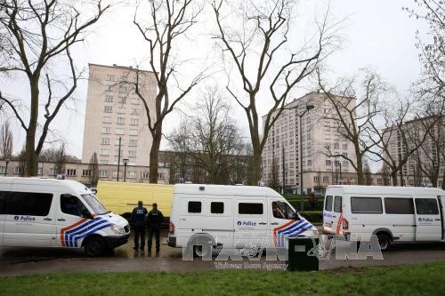 Cảnh sát Bỉ làm nhiệm vụ trong chiến dịch truy quét ở Brussels. Ảnh: AFP/TTXVN