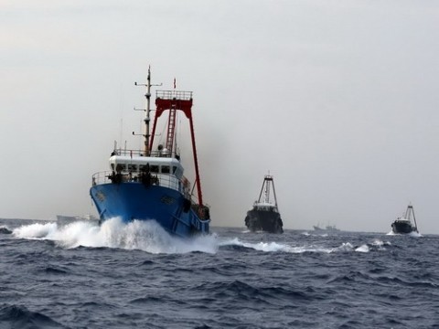 Trung Quốc im lặng cho ngư dân trộm cá, Hàn Quốc lập lực lượng liên hợp bắt giữ