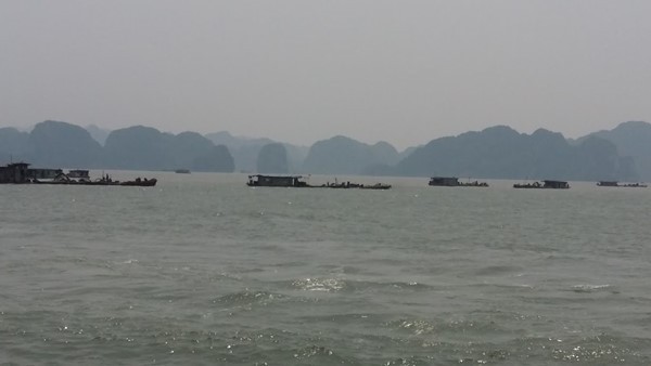 Vẩn tải than đường thủy ở Quảng Ninh