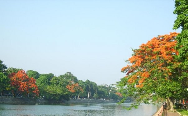 Hồ Tam Bạc - hồ trung tâm, biểu tượng của Hải Phòng - bị đem cho thuê. Ảnh Internet