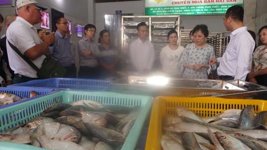 Trưởng Ban Quản lý An toàn thực phẩm TP HCM kiểm tra, khảo sát thủy, hải sản tại tỉnh Bình Thuận